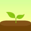 Forest: Focus for Productivity app icon